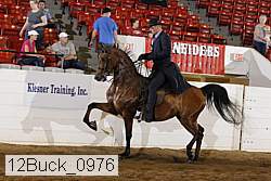 12buck_0976 thumbnail