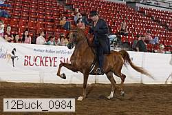 12buck_0984 thumbnail