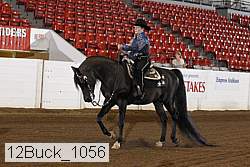 12buck_1056 thumbnail