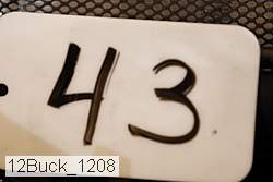 12buck_1208 thumbnail