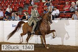 12buck_1340 thumbnail