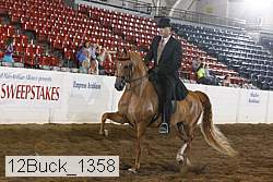 12buck_1358 thumbnail