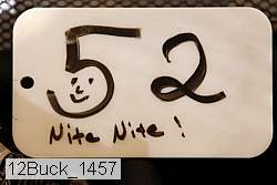 12buck_1457 thumbnail