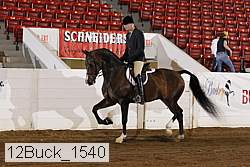 12buck_1540 thumbnail