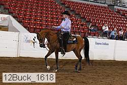 12buck_1618 thumbnail