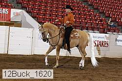12buck_1620 thumbnail