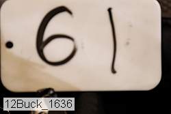 12buck_1636 thumbnail