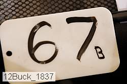 12buck_1837 thumbnail