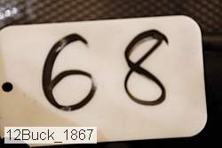 12buck_1867 thumbnail