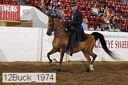 12buck_1974 thumbnail
