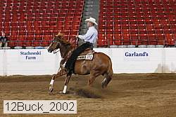 12buck_2002 thumbnail