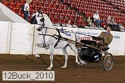 12buck_2010 thumbnail