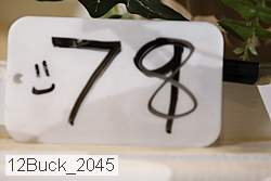 12buck_2045 thumbnail