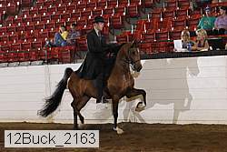 12buck_2163 thumbnail