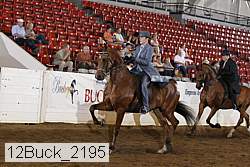 12buck_2195 thumbnail
