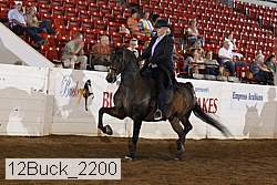 12buck_2200 thumbnail