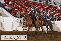 12buck_2210 thumbnail
