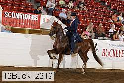 12buck_2219 thumbnail