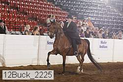 12buck_2225 thumbnail