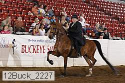 12buck_2227 thumbnail