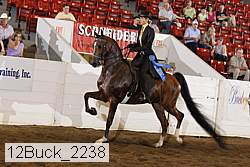 12buck_2238 thumbnail