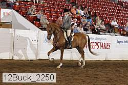 12buck_2250 thumbnail