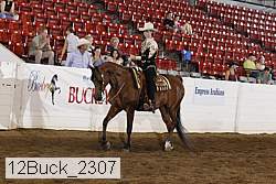 12buck_2307 thumbnail