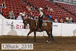 12buck_2316 thumbnail