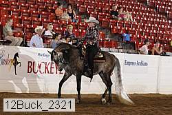 12buck_2321 thumbnail