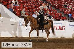 12buck_2326 thumbnail