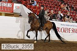 12buck_2355 thumbnail