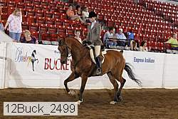 12buck_2499 thumbnail