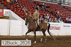 12buck_2626 thumbnail