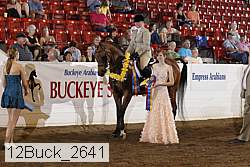 12buck_2641 thumbnail