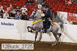 12buck_2725 thumbnail