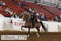 12buck_2779 thumbnail