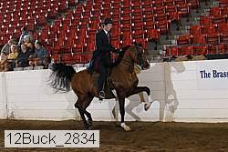 12buck_2834 thumbnail