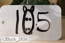 12buck_2838 thumbnail