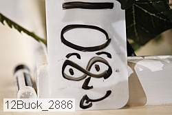12buck_2886 thumbnail