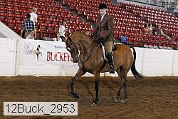 12buck_2953 thumbnail