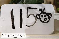 12buck_3074 thumbnail