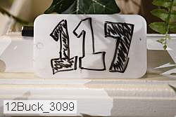 12buck_3099 thumbnail