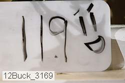 12buck_3169 thumbnail