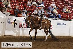 12buck_3183 thumbnail