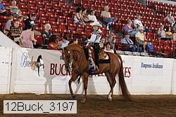 12buck_3197 thumbnail