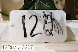 12buck_3207 thumbnail