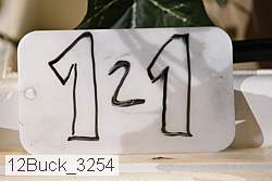 12buck_3254 thumbnail