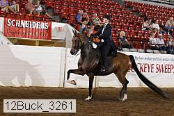12buck_3261 thumbnail