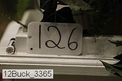 12buck_3365 thumbnail