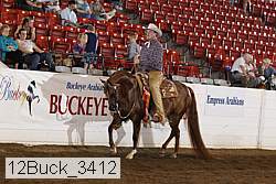 12buck_3412 thumbnail